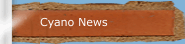 Cyano News